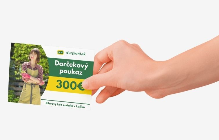 Elektronický darčekový poukaz v hodnote 300 EUR