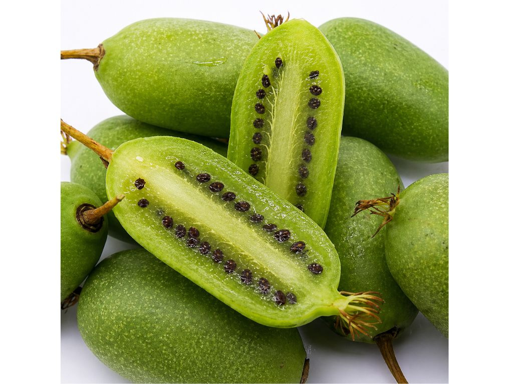 Kiwi Super Jumbo, výška 20-40 cm, kvetináč 9 cm