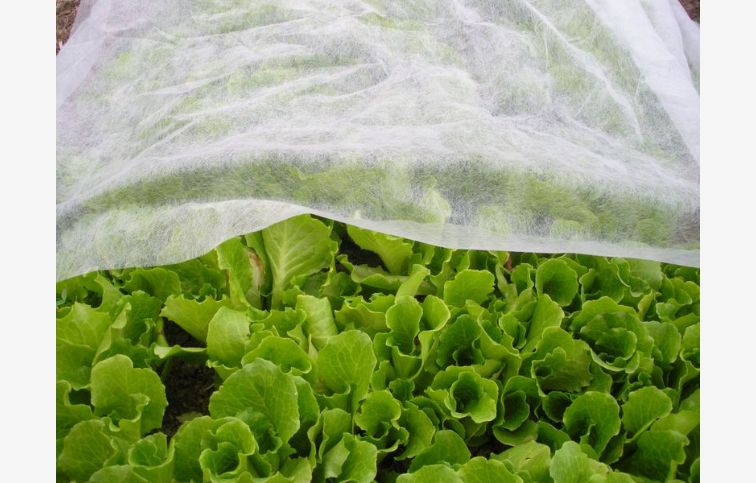 JUTABOND Krycia netkaná textília biela 19G 1,6X10M