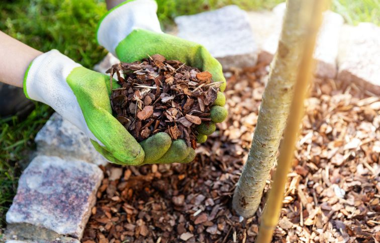 Agro mulčovacia kôra 70 l