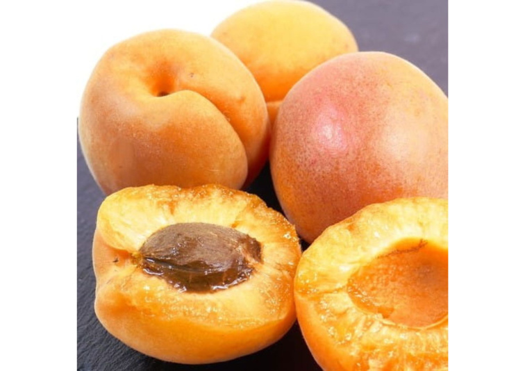 Marhuľa Skorá z Morden, podpník Alycza, voľnok.