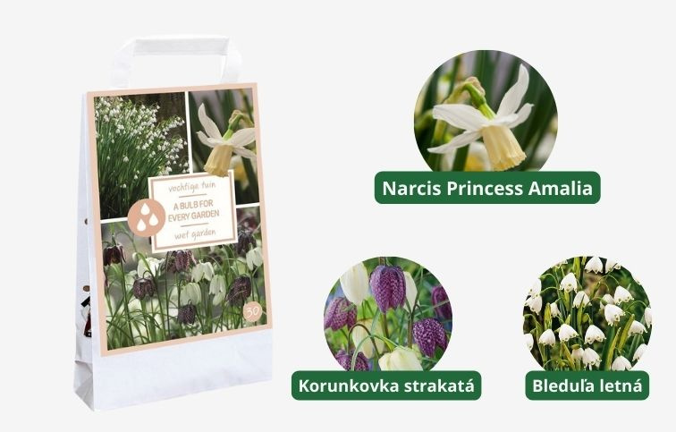 MIX cibuľovín do vlhkých záhrad 30 ks v balení - A Bulb For Every Garden Wet Garden