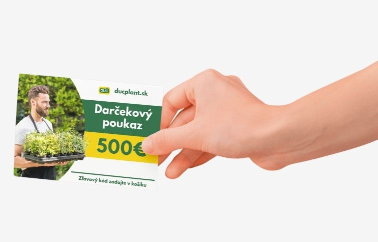 Elektronický darčekový poukaz v hodnote 500 EUR