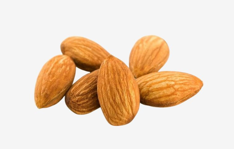 Mandľa Vama, semenáč, 130-160 cm, kont. 6 l