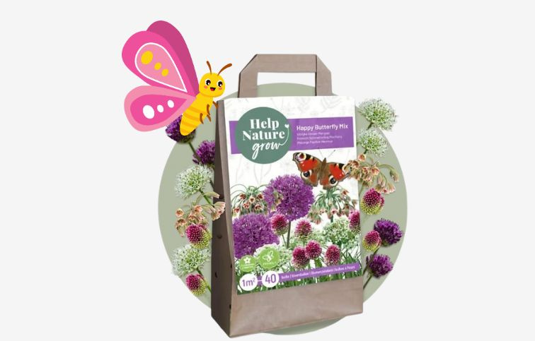 MIX cibuľovín 4 odrôd pre motýle oddelene balené 40 ks v balení - Happy Butterfly