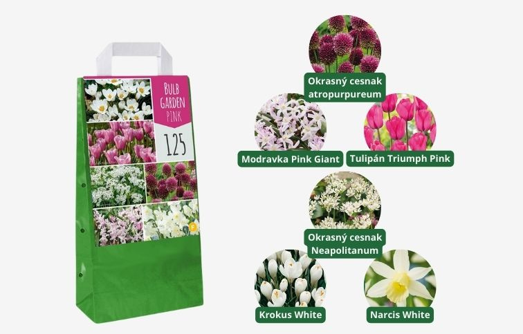 MIX cibuľovín 6 odrôd oddelene balené 125 ks v balení - Bulb Garden Pink