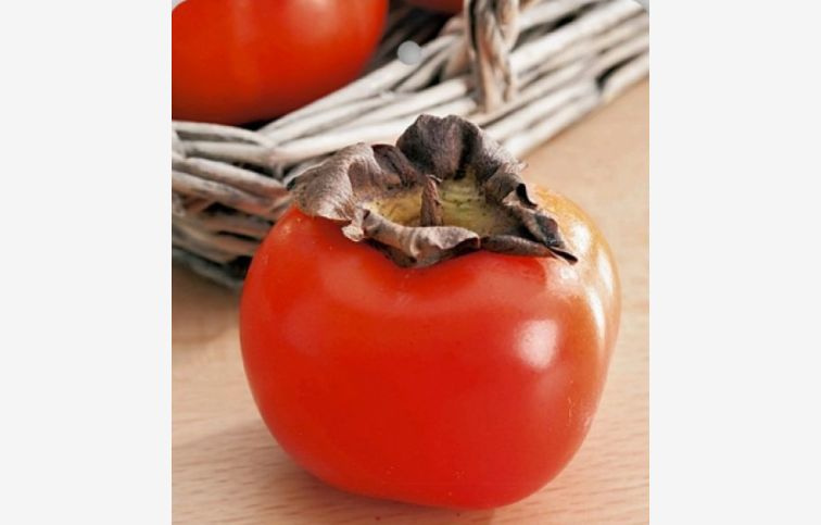 Hurmikaki Tipo 130-160 cm, kont. 6 l