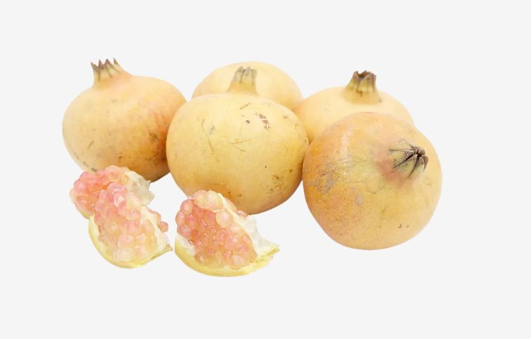 Granátové jablko Haku Botan 30-50cm, kont. 2 l