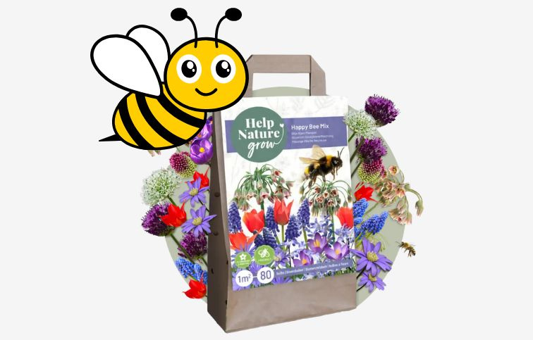 MIX cibuľovín 6 odrôd pre včely oddelene balené 80 ks v balení - Happy Bee Mix