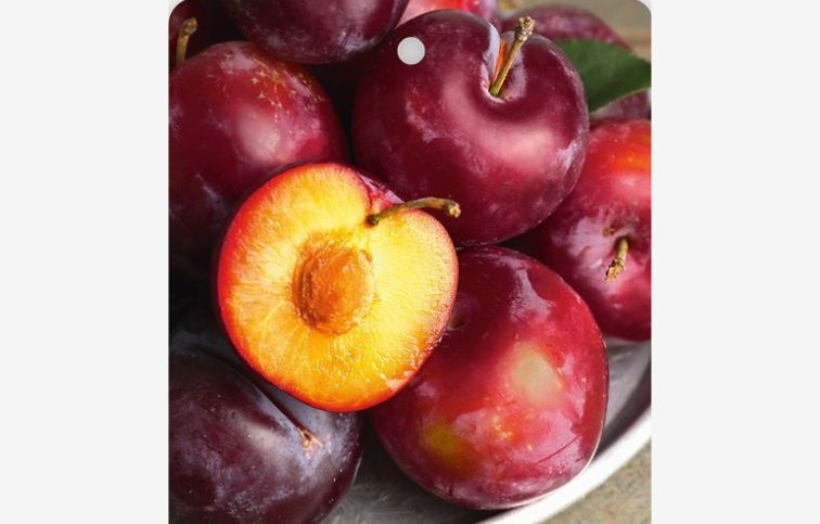 Slivkomarhuľa Queen Elizabeth, podpník myrobalán, voľnok.