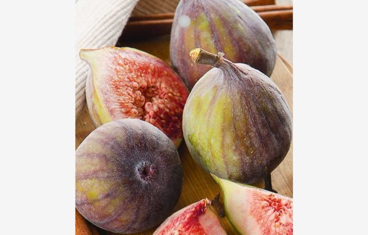 Figovník Francuesco 30-40 cm, kont. 2 l