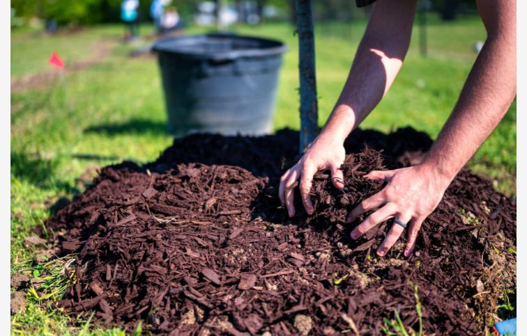 Agro mulčovacia kôra 70 l