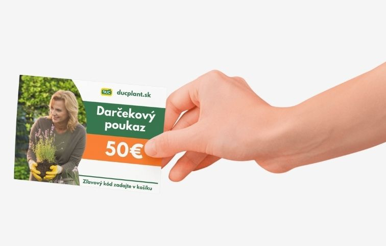 Elektronický darčekový poukaz v hodnote 50 EUR