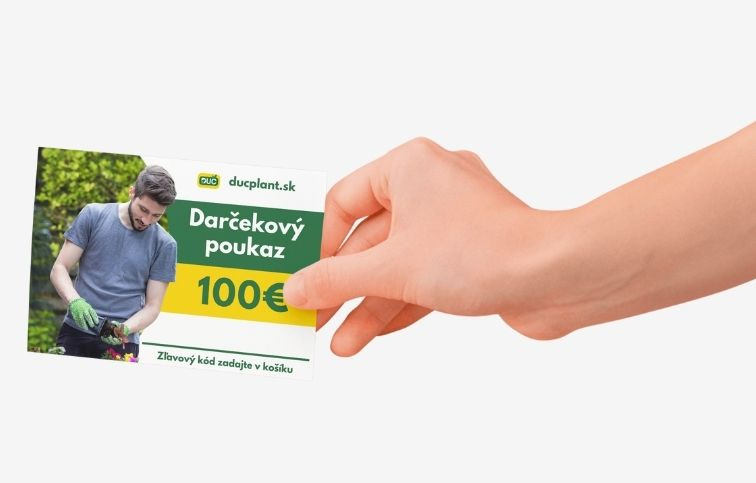 Elektronický darčekový poukaz v hodnote 100 EUR