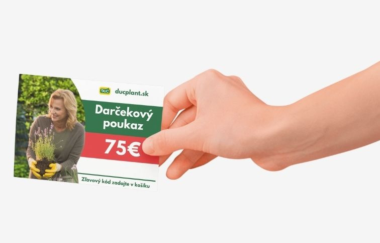 Elektronický darčekový poukaz v hodnote 75 EUR