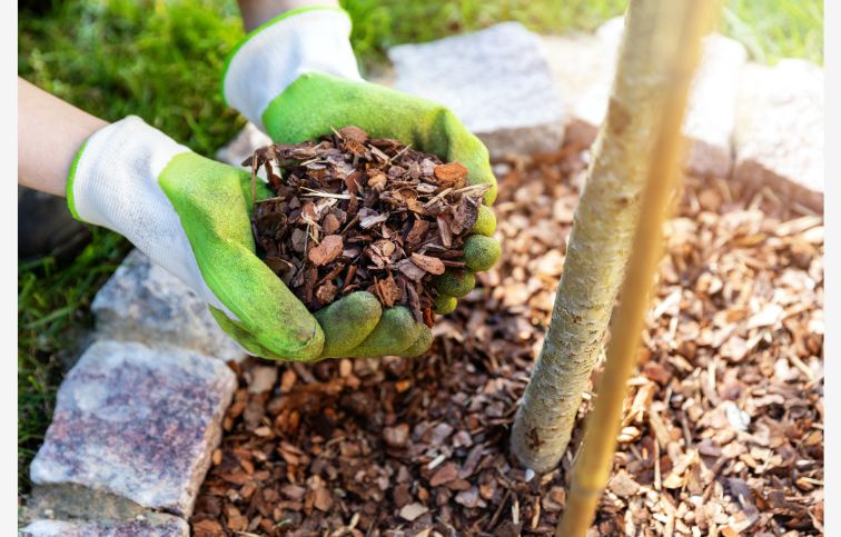 Garden Boom píniová kôra 40-60mm, 65 l