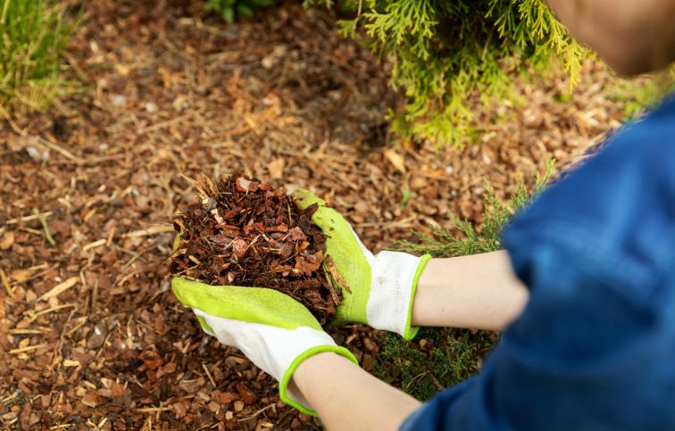 Garden Boom píniová kôra 40-60mm, 65 l