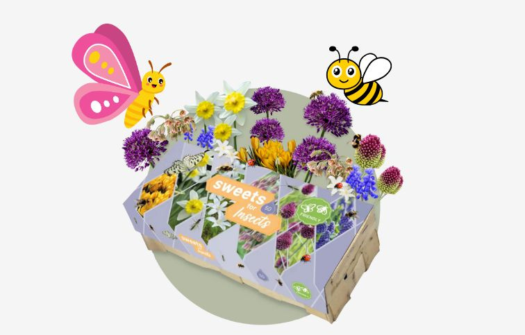 MIX cibuľovín 6 odrôd pre hmyz oddelene balené 50 ks v balení - Sweet for Insects