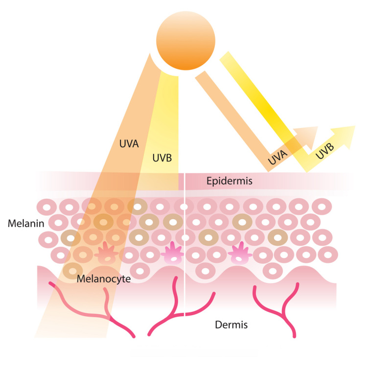 Jak chránit pokožku před sluncem? Radujte se z každého paprsku bezpečně s SPF ochranou