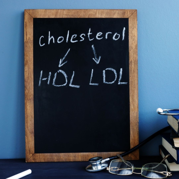 tabulka s nápisem HDL a LDL cholesterol