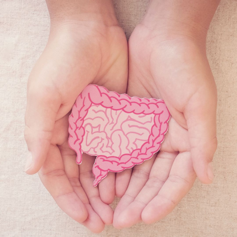 když střevo a mysl souvisí
