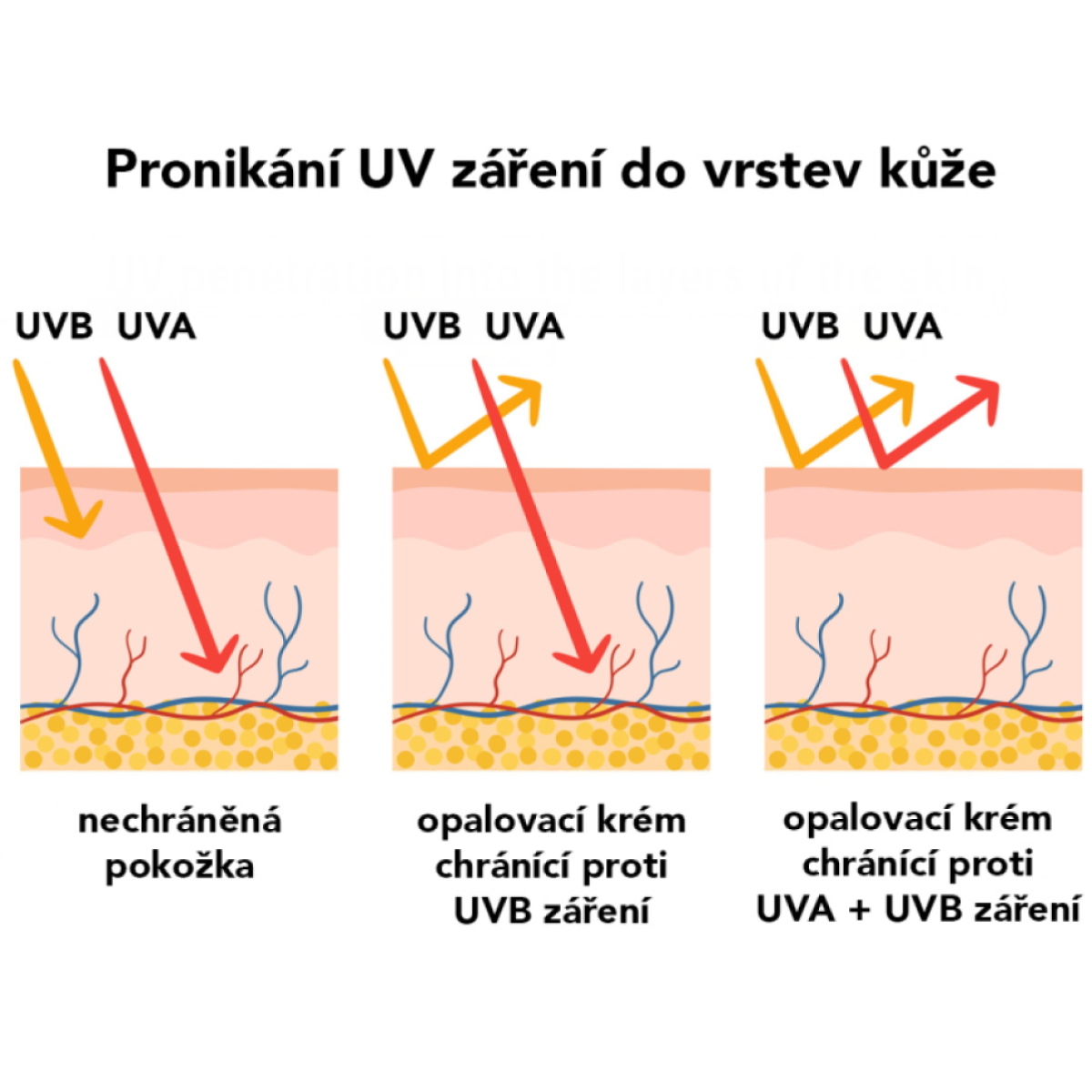 obrátek znázorňující vliv UVB a UVA záření s různými typy opalovacích krémů