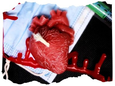 Lidské srdce svíčka