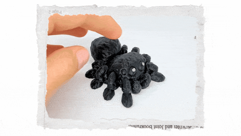 3D Chlupatý pavouček