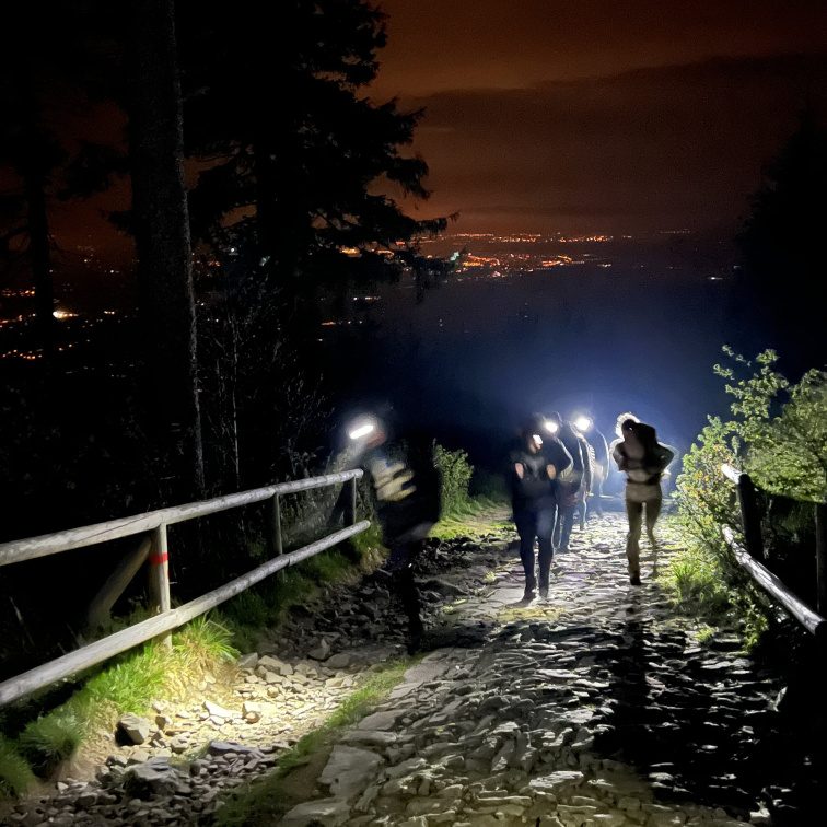 SILVA Walking Poles Aluminum