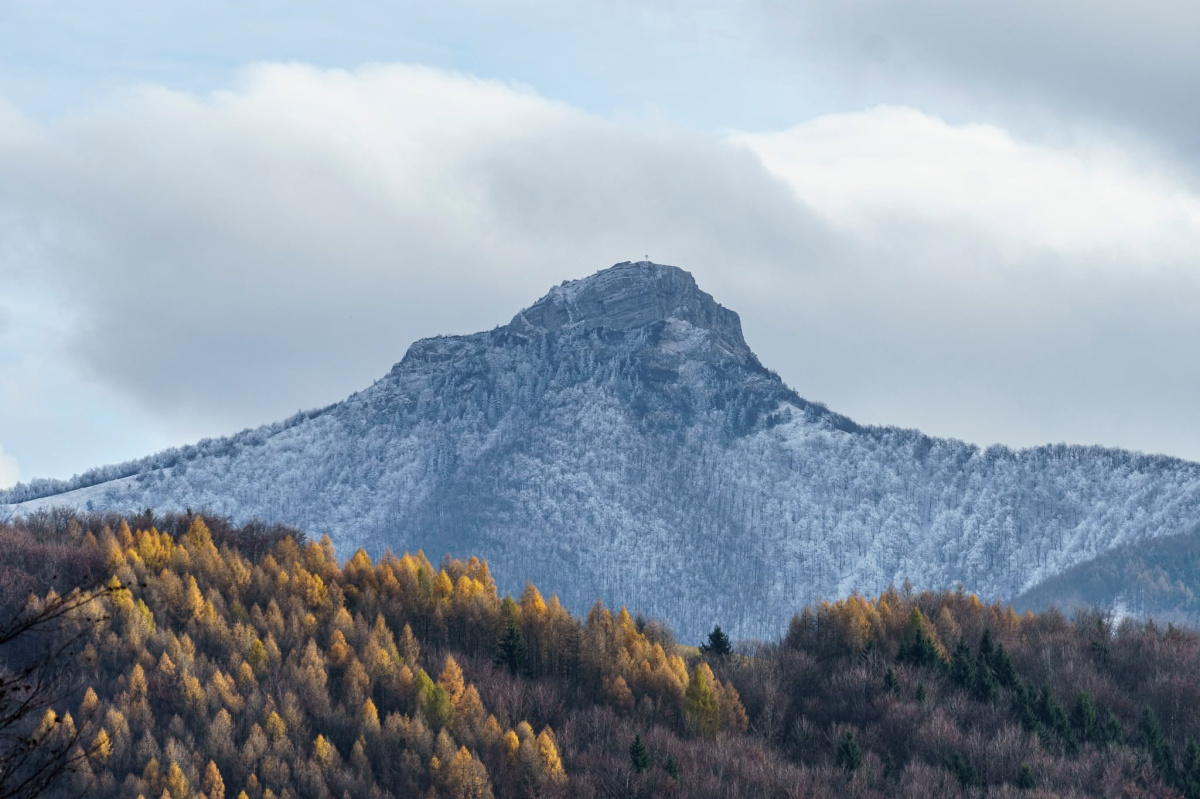 dobrovolnická brigáda na Čičmanském mokřadu