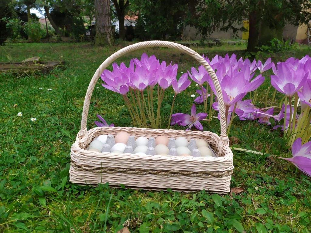 Košík na vajíčka – 18 ks
