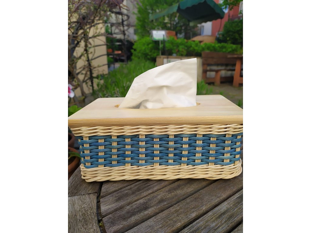 Kapesníčkovník- světle modrý