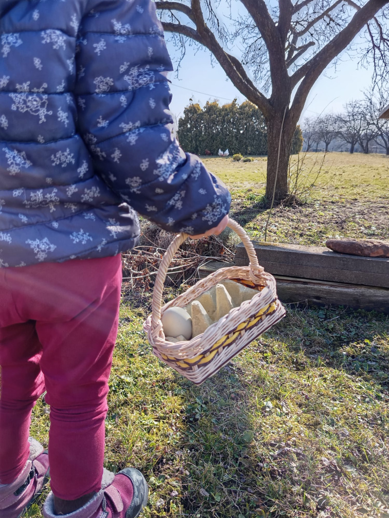 Košík na vajíčka-včelka