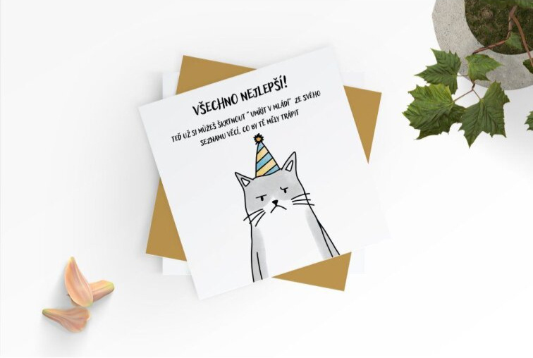 Přáníčko k narozeninám - sarkastická kočička