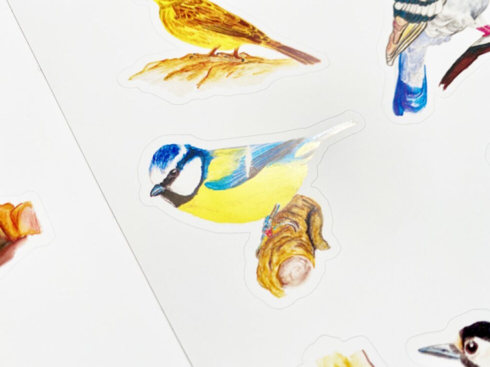 Samolepky - Ptáčci 2