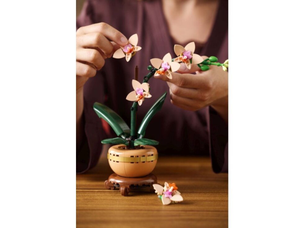 LEGO® Botanicals Miniaturní orchidej 10343