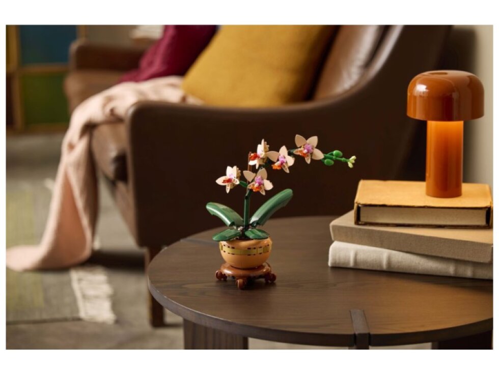 LEGO® Botanicals Miniaturní orchidej 10343