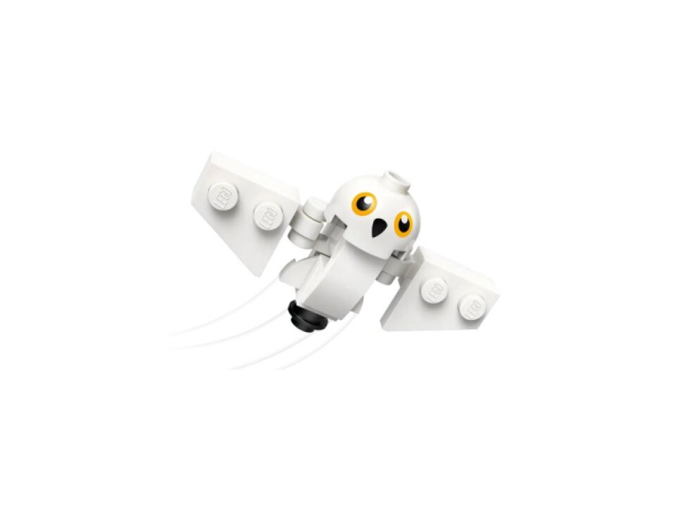 LEGO® Harry Potter™ Hagrid™ a Harry na motorce 76443