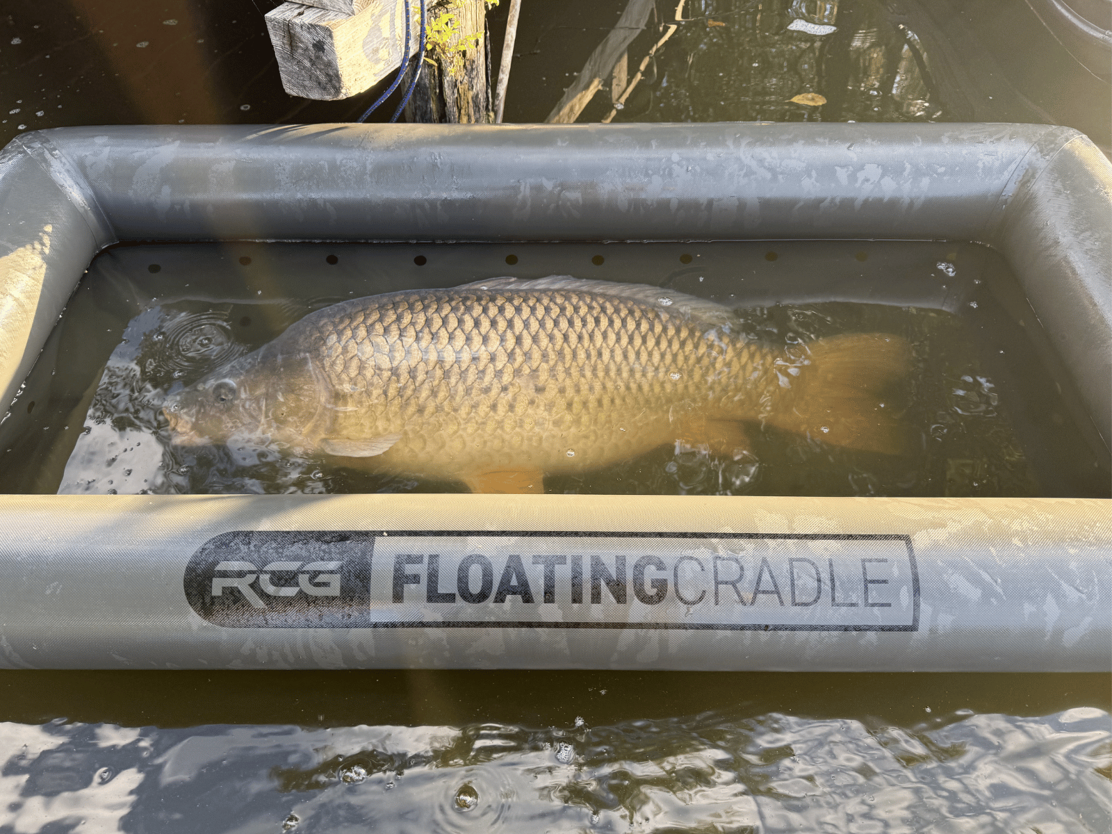 RCG Plovoucí Podložka Vanička Floating Cradle Green