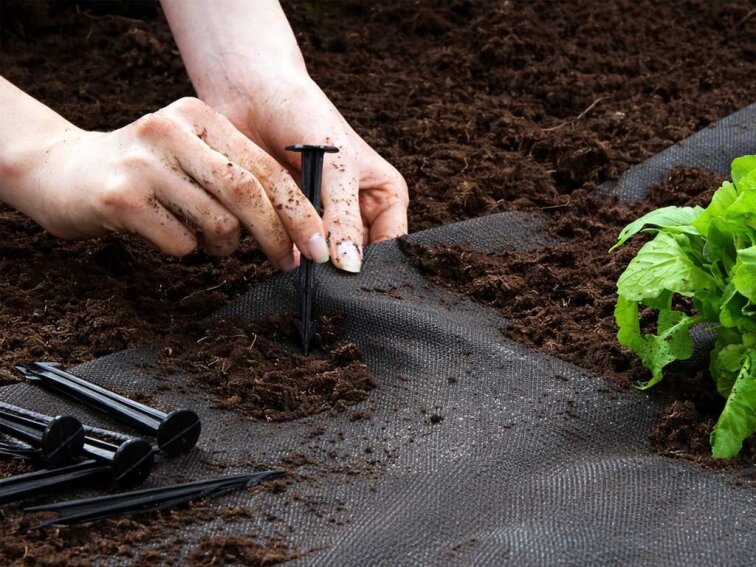 Kotvicí kolík Bradas na textilie 12 cm, 20 ks