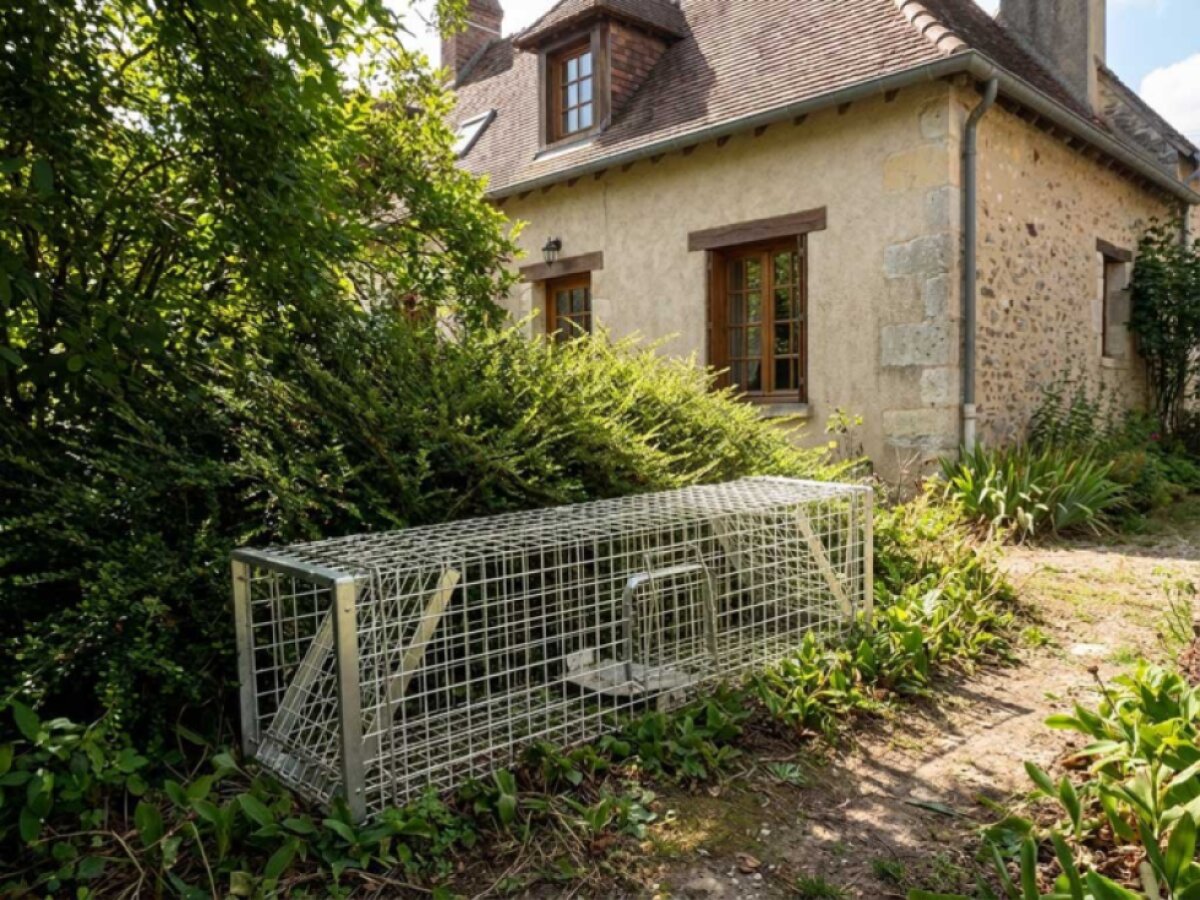 Profesionální past na lišky, kuny, vydry a kočky KENNIVA H150x34x34V2