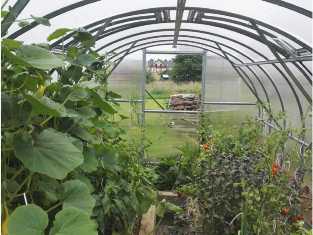 Zahradní skleník Gardentec Kompakt 2 x 3 m, 4 mm