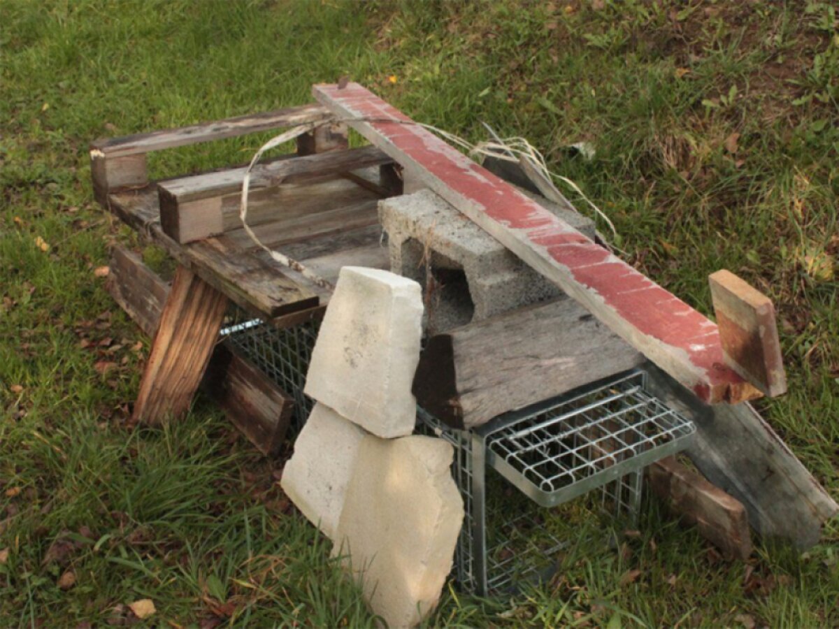 Profesionální past na lišky, kuny, vydry a kočky TRAP H120x34x42