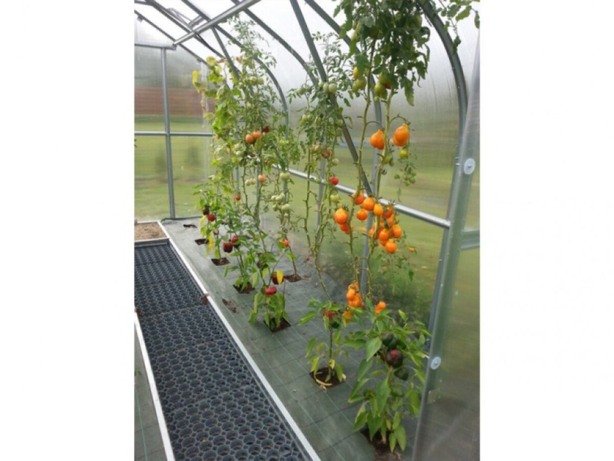 Zahradní skleník Gardentec STANDARD 4 x 2,5 m