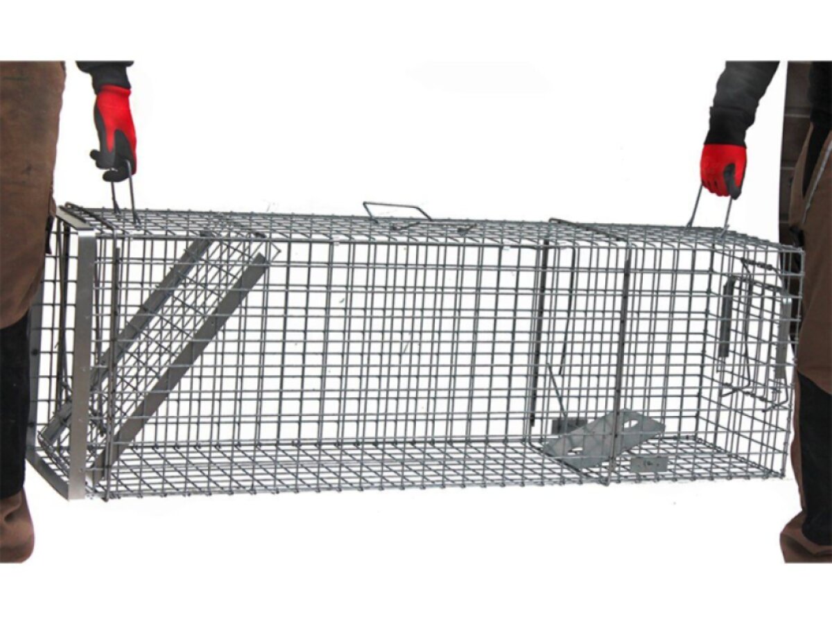 Profesionální past na lišky, kuny, vydry a kočky TRAP H120x34x42