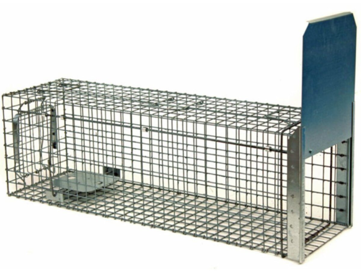 Past na kuny, kočky, potkany, krysy, lasičky a tchoře TRAP ZL80x26x26