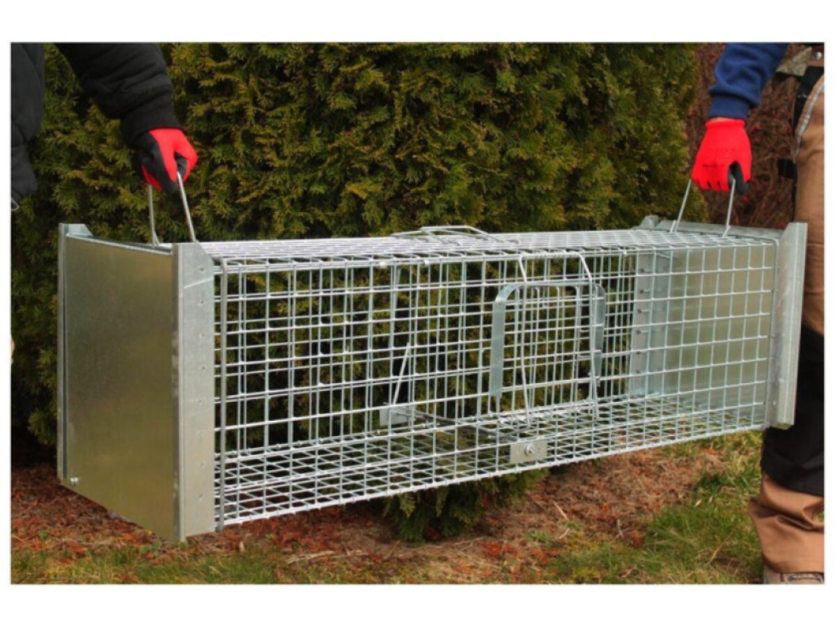 Profesionální past na lišky, kuny, vydry a kočky TRAP ST120x34x34V2