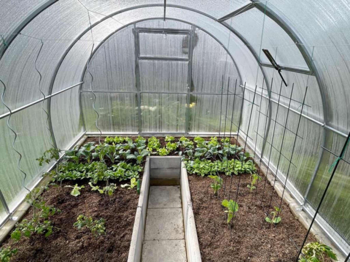 Zahradní skleník LEGI OREGANO 4 x 3 m, 6 mm