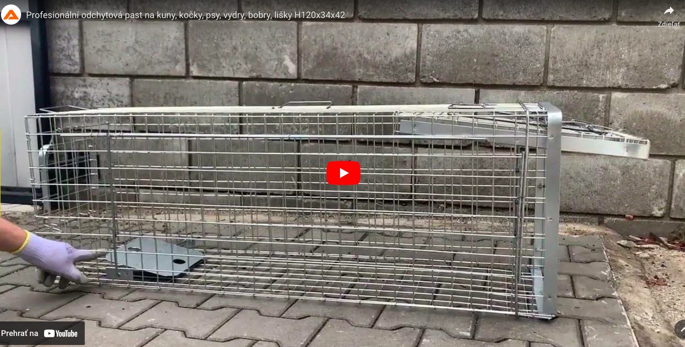 Profesionální past na lišky, kuny, vydry a kočky TRAP H150x34x34V2