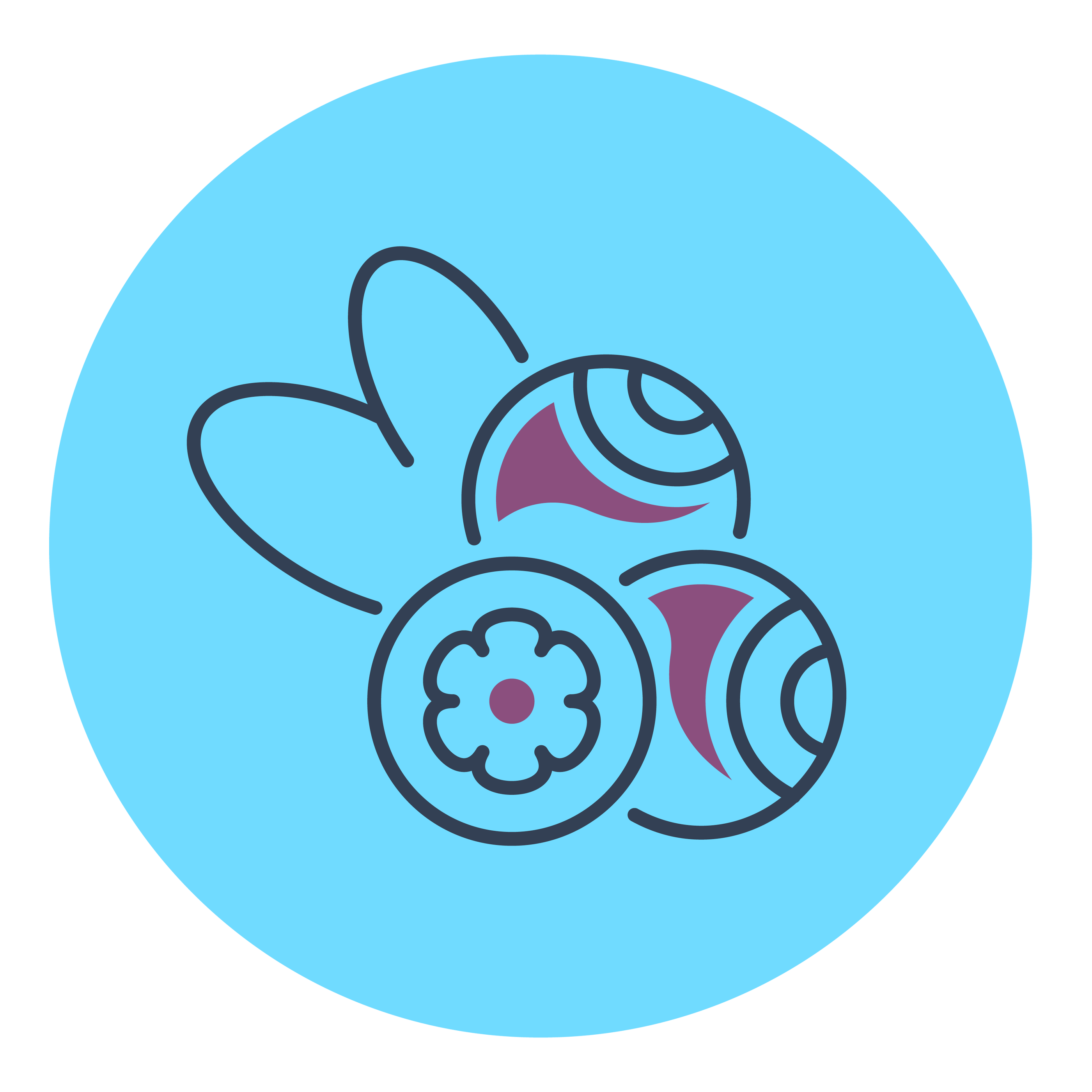 Divoké ovoce